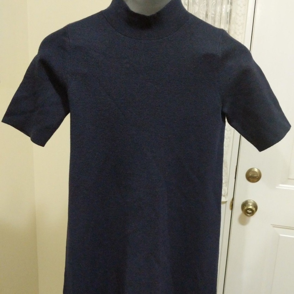 Ann Taylor Extra Fine Wool Mock Neck Dress, NWT